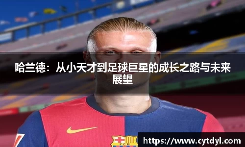 雷火电竞官方网站入口