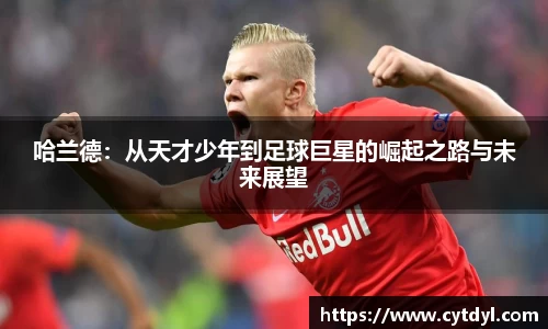 雷火电竞亚洲官网