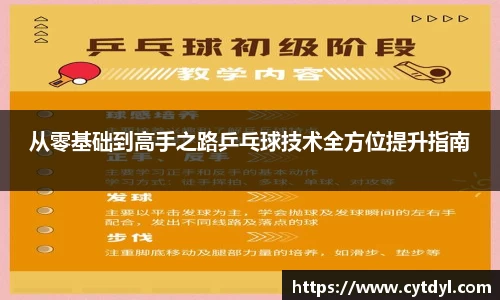 从零基础到高手之路乒乓球技术全方位提升指南